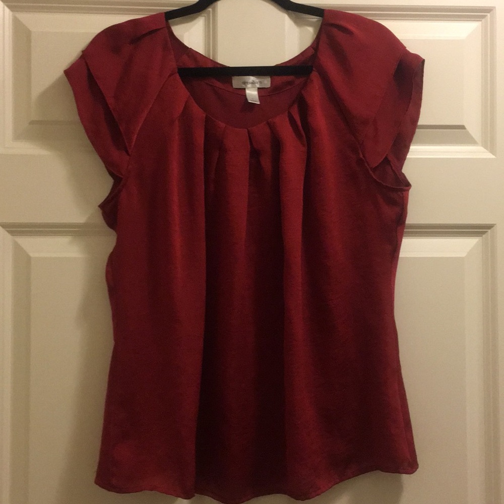Dressbarn women’s dressy top size large